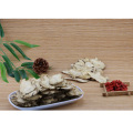 Herbal Medecine Chinses Angelica Seeds Angelica Keiskei